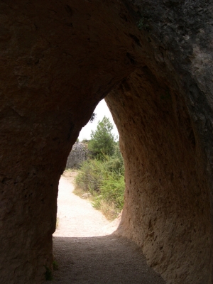 qenk04-410.JPG