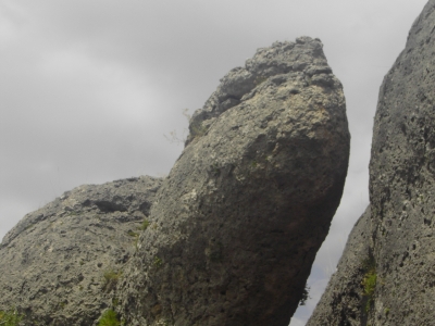 qenk04-63.JPG