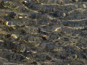 DSCN1555.JPG